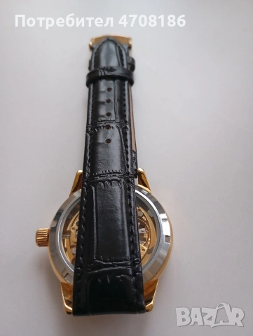 Часовник тип Скелетон , снимка 4 - Луксозни - 53098883