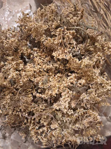 Домашни сладка, сиропи, желета, хрян и сушени билки, снимка 14 - Домашни продукти - 45413814