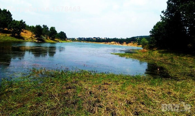 Продавам горска територия-иглолистна гора, снимка 2 - Земеделска земя - 53449944