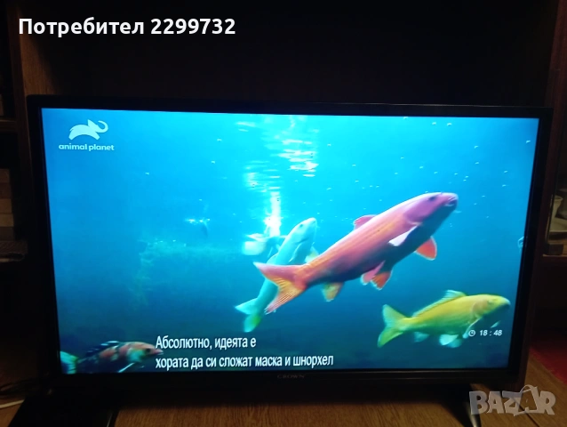 КАТО НОВ! 32" Full HD Телевизор Crown 3203 FHD – НОВА ПОДСВЕТКА + ОРИГИНАЛНА КУТИЯ, снимка 8 - Телевизори - 53643497