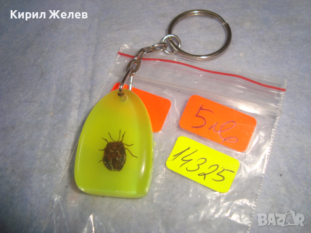 ИНТЕРЕСЕН КЛЮЧОДЪРЖАТЕЛ с ХЕРБАРИЗИРАНО БРЪМБАРЧЕ 14325
