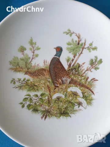 6бр Pordeco Бавария немска колекционерска декоративна порцеланова чиния-картина/диви птици, снимка 7 - Картини - 49114972