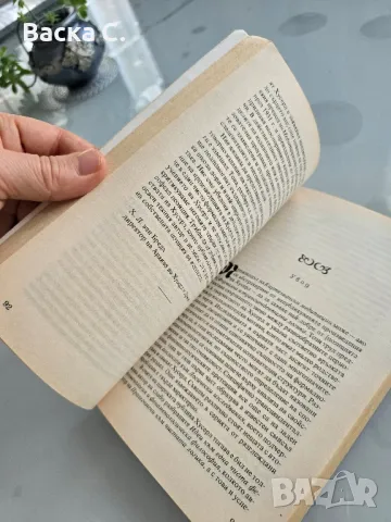 Увод във феменологията, снимка 2 - Други - 48028319