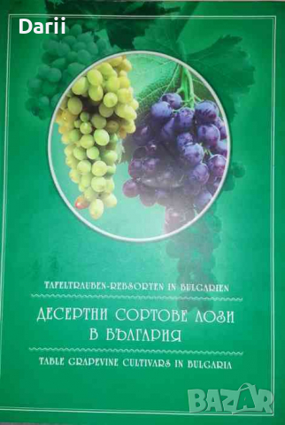 Десертни сортове лози в България, снимка 1