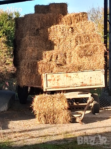 Малки Бали слама, снимка 3 - Други стоки за животни - 51611336