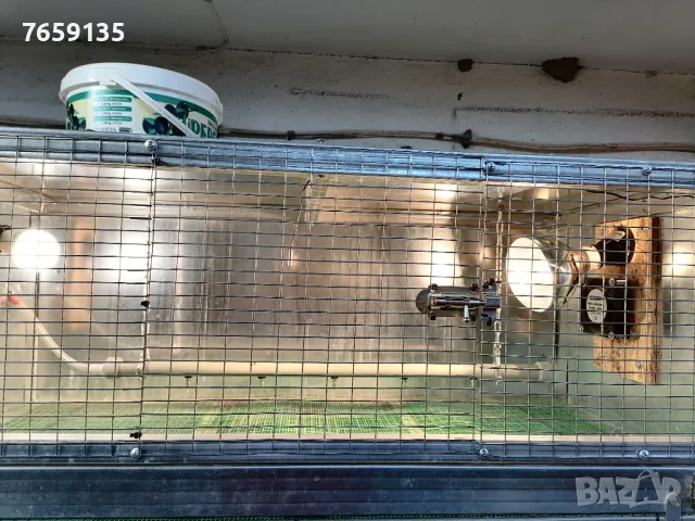 Брудери и клетки, снимка 7 - За селскостопански - 47449763