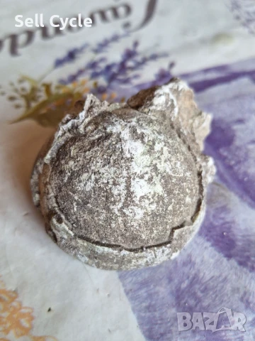 ✅ФОСИЛ - МОРСКИ ТАРАЛЕЖ ❗