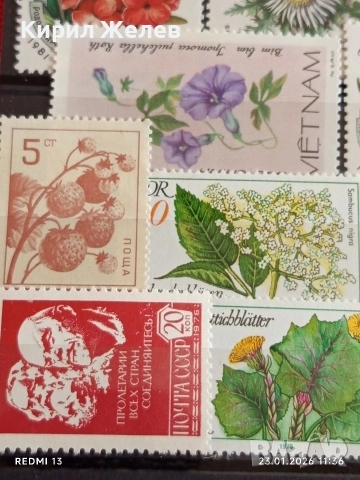 Стари пощенски марки от цял свят смесени ЦВЕТЯ,ГЪБИ за КОЛЕКЦИОНЕРИ 52012, снимка 7 - Филателия - 53198174