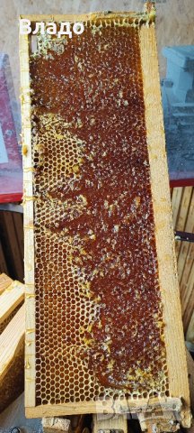 Полифлорен мед реколта 2023 г., снимка 4 - Пчелни продукти - 42170508