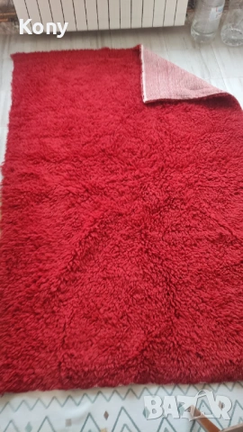 Вълнен китеник