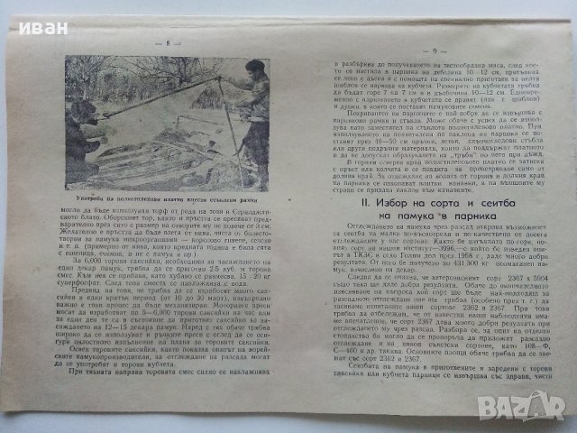 Чрез разсадно отглеждане на памука - към рязко увеличаване на добивите - М.Божинов., снимка 2 - Други - 39559021
