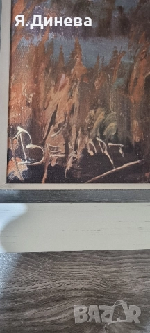 Красиви картини, снимка 4 - Картини - 52316260