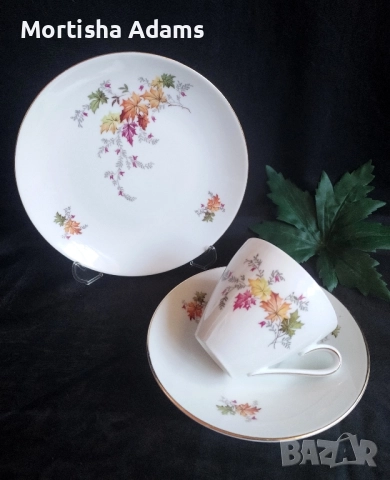 Немски сервиз за кафе- 21части, снимка 5 - Сервизи - 52175404