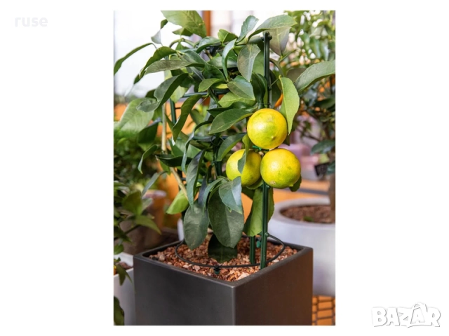 НОВИ! Соларен комплект за напояване Parkside 20 растения, снимка 4 - Напояване - 52400216