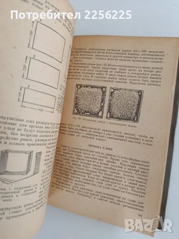 Пчеловодство 1955г, снимка 8 - Специализирана литература - 55889778