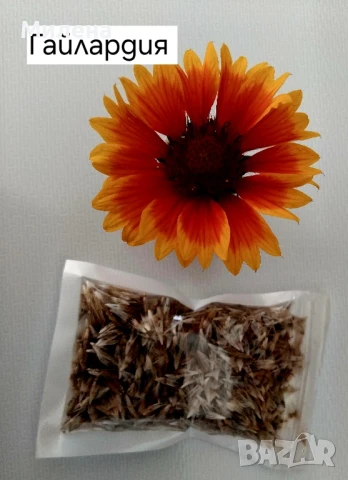 Семена за едногодишни цветя , снимка 6 - Сортови семена и луковици - 51341019