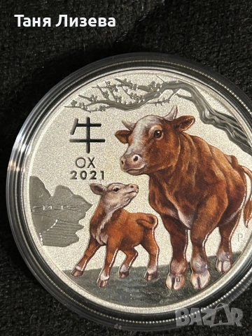 Цветен вол от серията Лунар 3