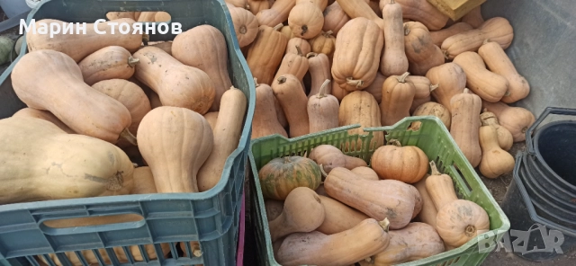 Тивки за консумация 