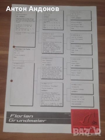 Спортни гълъби, снимка 8 - Гълъби - 53148839