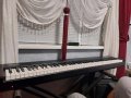 Technics SX-P30 електронно пиано, снимка 1 - Пиана - 41882172