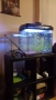 Продавам 2бр.аквариуми, снимка 9