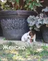 Джак Ръсел Териер , снимка 5