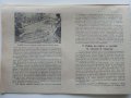 Чрез разсадно отглеждане на памука - към рязко увеличаване на добивите - М.Божинов., снимка 2