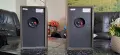 Hi-Fi тонколони Pioneer S-F21, снимка 2
