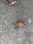 Дюзи за Газокислородно рязане. , снимка 7