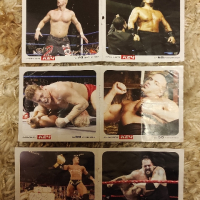 Мини уникални плакати на Първична сила WWE - Разбиване - Кеч
, снимка 1 - Нумизматика и бонистика - 44701040