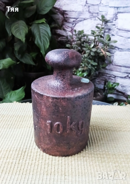 Тежест 10 кг, снимка 1