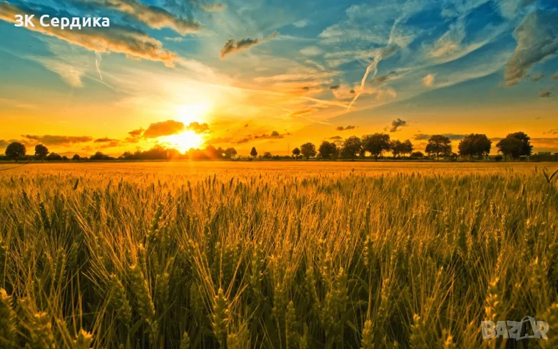 Купувам земеделска земя в цялата страна, снимка 1