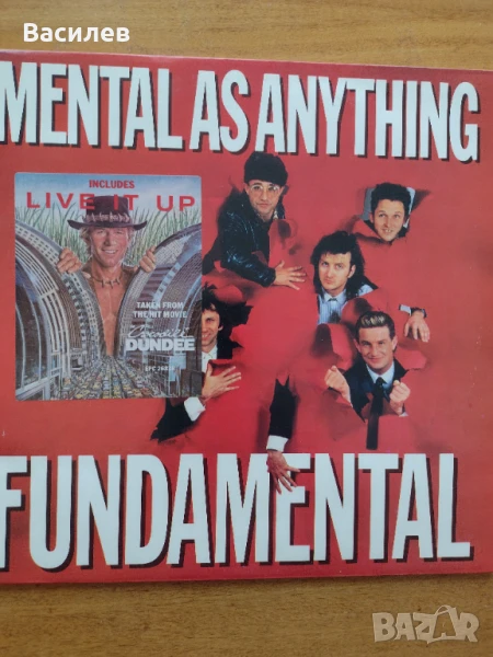 Грамофонна плоча , снимка 1