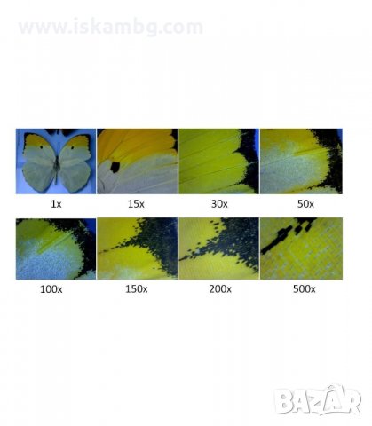 ДИГИТАЛЕН МИКРОСКОП С USB 1000X 8 LED HD КАМЕРА ALBERT - код 1134, снимка 6 - Друга електроника - 34054958