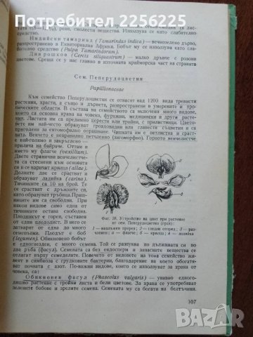ЛОТ Фуражно производство, снимка 8 - Специализирана литература - 50959767