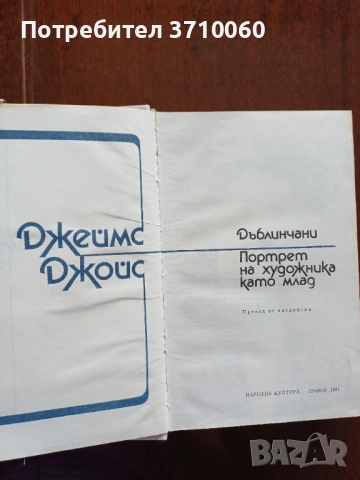 10 книги История и теория на изкуството Подарък албум Рубенс, снимка 14 - Специализирана литература - 53720993