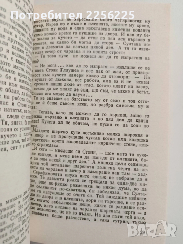 Железният светилник, снимка 2 - Българска литература - 52222273
