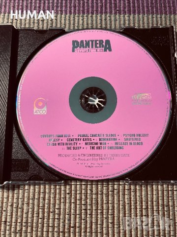 PANTERA,Slayer , снимка 3 - CD дискове - 40812016
