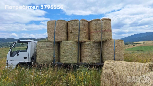 Зум-бай Товарен транспорт, снимка 9 - Транспортни услуги - 52661582