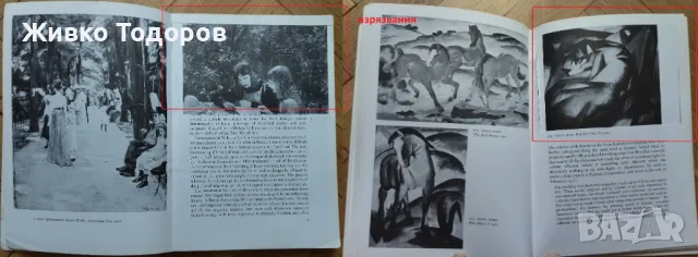 ИЗКУСТВО - книги с творби на художници и книги за оцветяване, снимка 11 - Художествена литература - 49929297