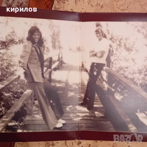 Колекция интересни винтидж грамофонни плочи, снимка 6 - Грамофонни плочи - 53535427