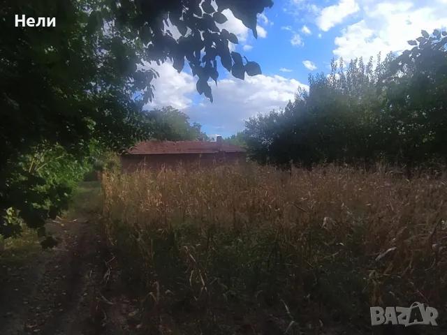 Дворно място с къща в с. Черна гора, област Стара Загора , снимка 6 - Парцели - 49770381