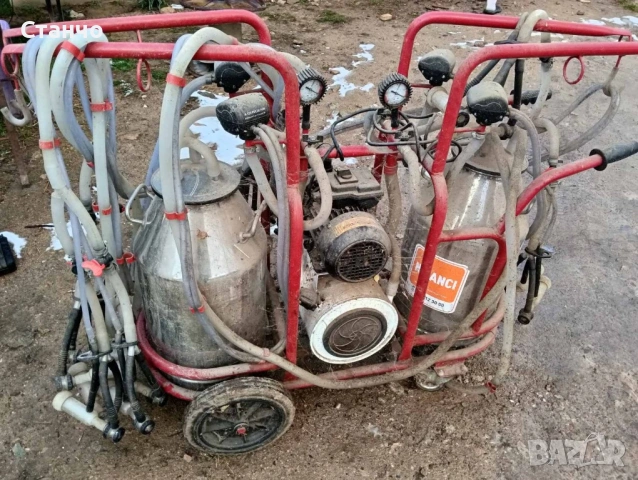  Естакада  за 8 животни, агрегат за 8 кози или овце , снимка 3 - За селскостопански - 53105510