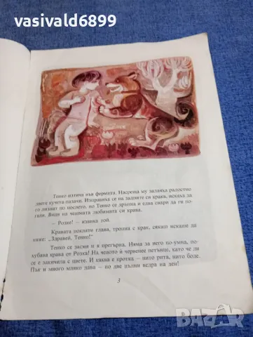 Таня Касабова - Розка , снимка 5 - Детски книжки - 48171136
