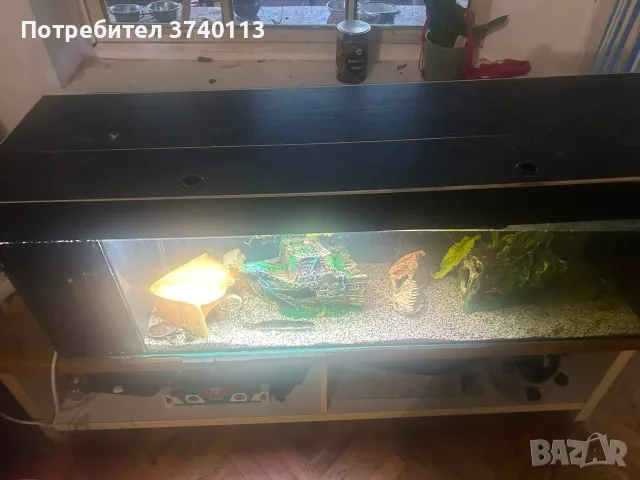 аквариум със вграден съмп 224 литра, снимка 2 - Аквариуми - 56275512