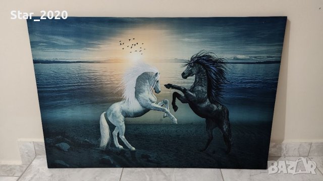 Светеща картина с LED осветление - бял и черен кон 2