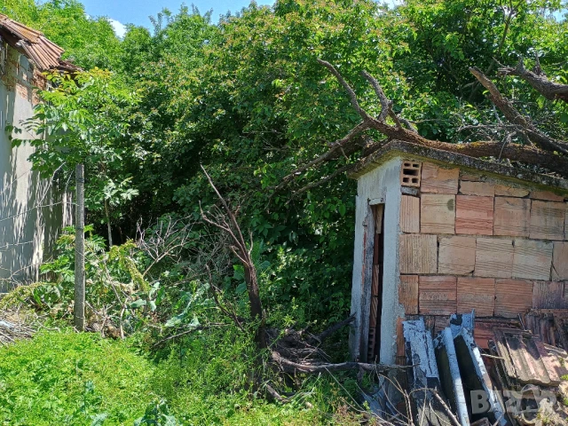 Имот 2,78 дка с ток, вода и постройки в с. Обнова, снимка 12 - Парцели - 50583793