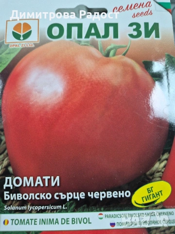Български сортове домат! Състояние ново! , снимка 6 - Сортови семена и луковици - 53511640