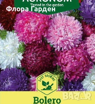 СЕМЕНА - Цветя едногодишни, снимка 4 - Сортови семена и луковици - 44836072