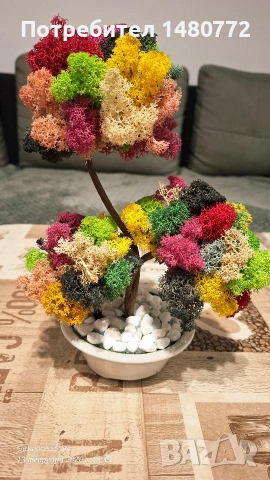 Бонсай със скандинавски мъх в саксийка, снимка 16 - Декорация за дома - 48125215